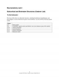 978-1133018216 Chapter 6 Neuroanatomy Lab 2 Seikel