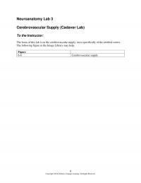 978-1133018216 Chapter 6 Neuroanatomy Lab 3 Seikel