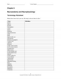 978-1133018216 Chapter 6 Terminology Worksheet