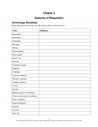 978-1285198248 Chapter 2 Chapter 2 Terminology Worksheet