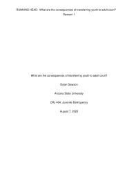 What Are The Consequences Of Transferring Youth To Adult Court?