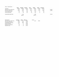 978-1305502208 Southwest Airlines Worksheets – Hitt 12e Case