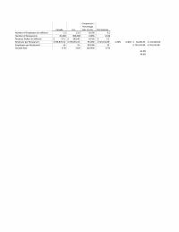 978-1305502208 Tim Hortons Worksheets – Hitt 12e Case