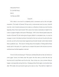 Essay 1 Alessandra Pronti Dr