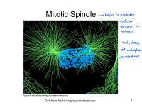 Cell Biology