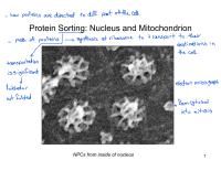 Cell Biology proteins are