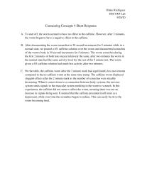 Connecting Concepts