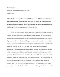 Polisci 104 Final