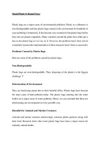 Should Plastic Be Banned Essay