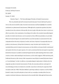 The Neuroethological Paradox Of Animal Consciousness