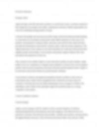 Apple Computing Inc. Strategic Path