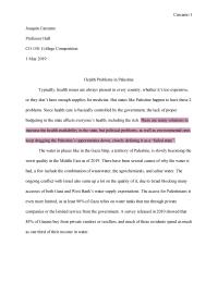 Palestine Research Paper