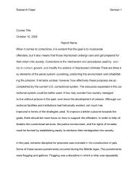 Article Review On Corrections