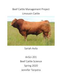 Beef Cattle Management Project