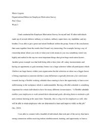 Employee Motivation Survey Paper