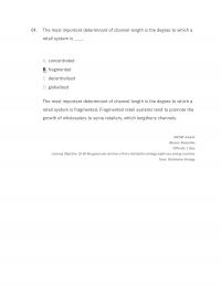 International Business Chapter 18