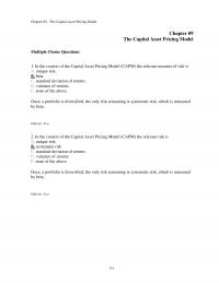 Investments & Securities Chapter 9 The Capital Asset Pricing Model The Capital Asset Pricing Model