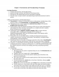 Linguistics Chapter 3 Neuroanatomy And Neurophysiology Language Learning Outcomes Contrast Neuroanatomy And Neurophysiology Identify