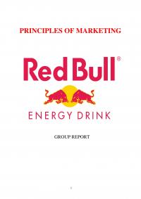 Report Analysis Of Redbull