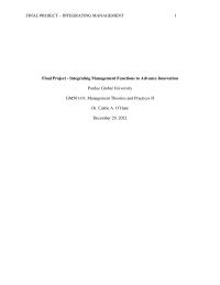 Final Project – Integrating Management Functions To Advance Innovation