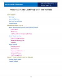 International Business Mod11 Match Between Leaders Skills And Abilities And The Firms Needs Tools And