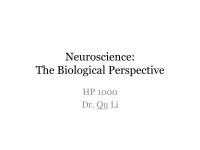 Lectureslides4.pdf