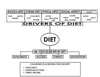 Food security and diet diagram