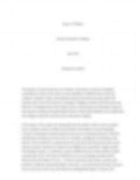 Honors Thesid/Intl Bus Global Feminist Issues