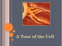 Ch.4introductiontocells.ppt