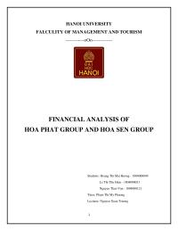 Financial Analysis Of  Hoa Phat Group And Hoa Sen Group