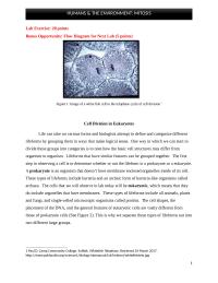 HUMANS & THE ENVIRONMENT: MITOSIS