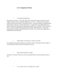 A.12 Assignment Pulses