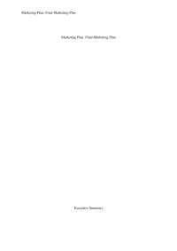 Marketing Marketing Plan Final