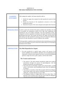 Ans150module1.pdf