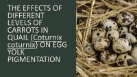 Herman-presentation.pptx