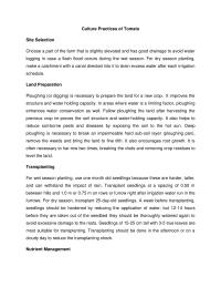 Culture Practices of Tomato