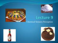 Lecture9 chemical sensation