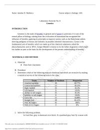 Laboratory Exercise No. 6
