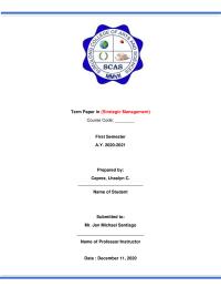 Termpaper