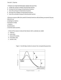 Generl Biochemistry – Enzymes