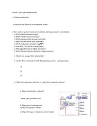 Principles of Metabolism