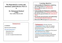 The Reproductive System And Mammary Gland Diseases