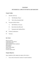 Special Education Chapter 5 Chapter 5 Mercer I tard Galton Skeels 19 Intervention Associated With Improvements Motivation Basic