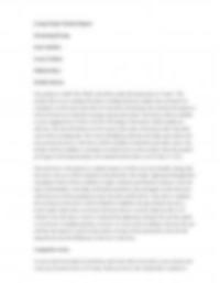 Marketing Plan – Rec Flash