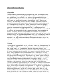 Individual Reflection Writing