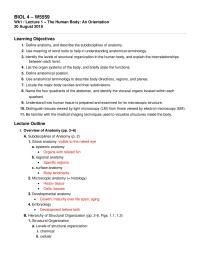 The Human Body: An Orientation