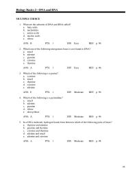 Basics 2&nbsp;Complementary nitrogenous bases can base pair