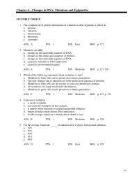 Chapter 6 Environmental mutagens include certain molecules found in