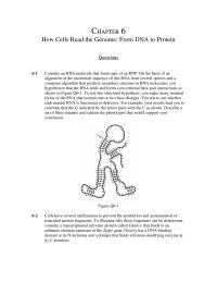 Biology & Life Sciences Chapter 6 Mutant Restores The Base pairing Because Once