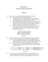 Biology & Life Sciences Chapter 7 Perform Chromatin Immunoprecipitation Assay This Treat Cells